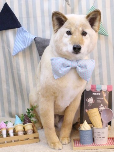 20250527れんくん